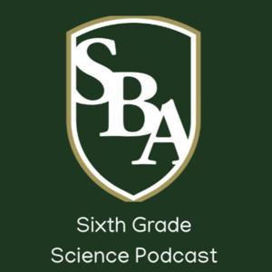 Silverdale 6th Grade Science