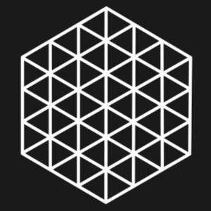 High Dimensional Health Data