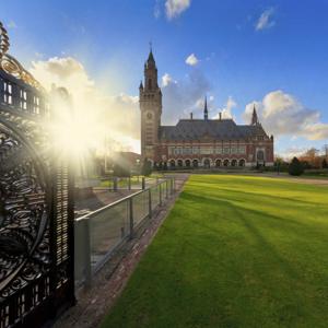 Stories of Purpose - The Hague & Partners