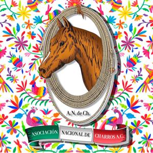 TRADICION VIVA TV - ANCH