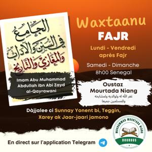Dàjjalee ci Sunnay Yonent bi, Teggin, Xarey ak Jaar-jaari jamono