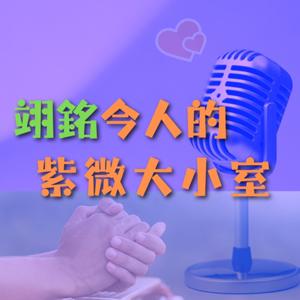 翊銘今人的紫微大小室