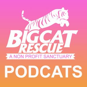 Big Cat Rescue