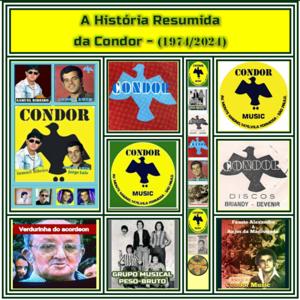 A História Resumida da Condor