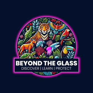 Beyond the Glass