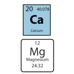 Magnesio y Calcio