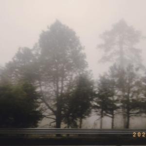 El podcast de Aguilar Tinoco Camila Joli