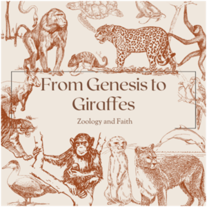 From Genesis to Giraffes