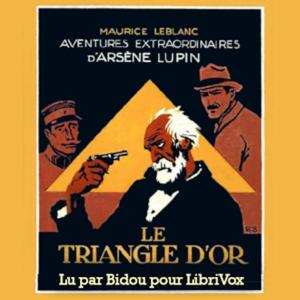 Triangle d'Or, Le by Maurice Leblanc (1864 - 1941)