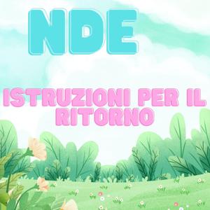 NDE - Istruzioni per il ritorno