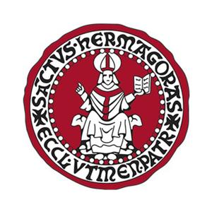 Approfondimenti diocesani