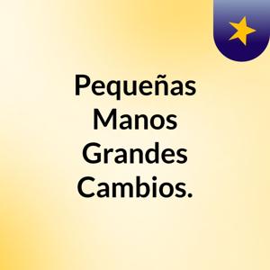 Pequeñas Manos, Grandes Cambios.