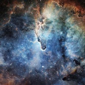 Fredi’s Book Universe