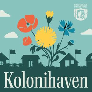 Kolonihaven