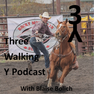 3 Walking Y Podcast