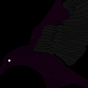 Corvus' Crow-tique