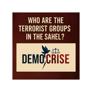 Terror in the Sahel: Who Are the Armed Groups and What Do They Want?