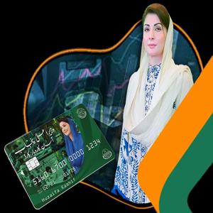 Asaan Karobar Card Application Status