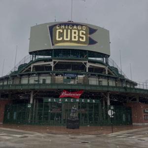 Cubs Local