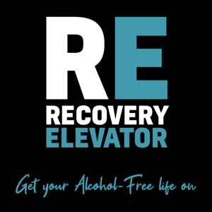 Recovery Elevator by Paul Churchill