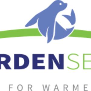 : Expert Window Replacement Services in Calgary