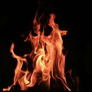 L¥ST 4 LYFE by Nikki Coffelt PhD