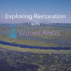 Exploring Restoration with WaterLANDS