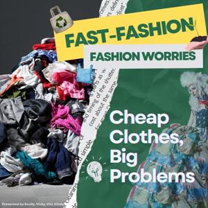 Fast Fashion: Cheap Clothes, Big Problems