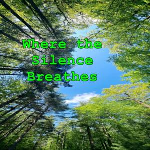 Where The Silence Breathes’s Substack Podcast