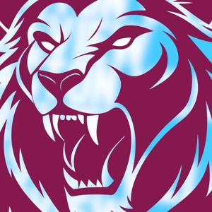 Aston Villa Review by Chris Nee and Steven Green