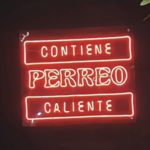 Perreando a tu alto nivel