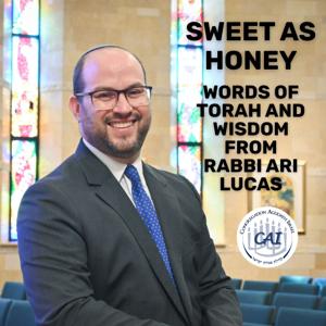 Sweet as Honey: Words of Torah and Wisdom from Rabbi Ari Lucas