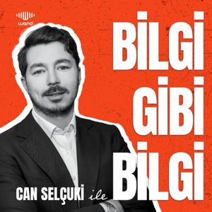 Bilgi gibi Bilgi