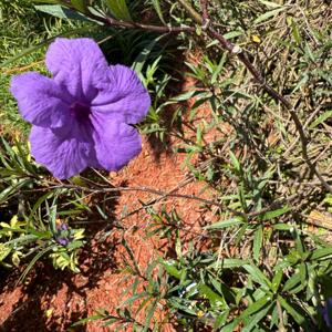 Dear Me: Mirror Talk