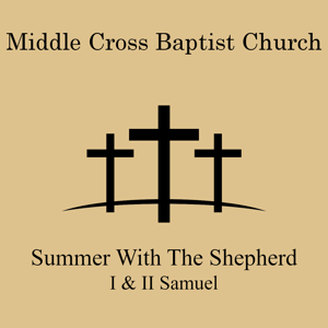 Summer with the Shepherd