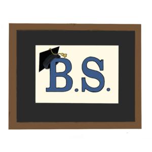 B.S.: The STEM Podcast