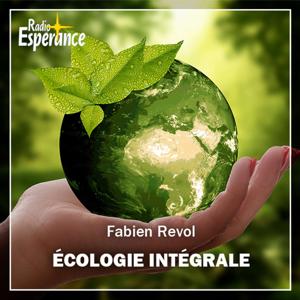 Chronique d’écologie intégrale