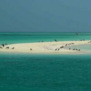 The Other Side of Eritrea