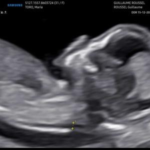 Maria's Midwifery Podcast