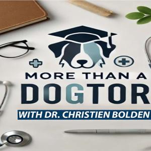 The More Than A Dogtor Podcast