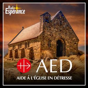 L’Église en détresse