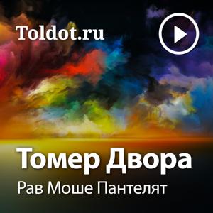 Рав Моше Пантелят  — Томер Двора