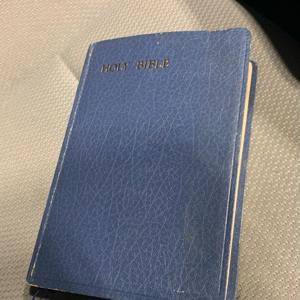 Wandering Through Scripture