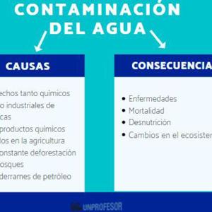 Los orígenes de las culturas