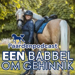 Een Babbel Om Gehinnik