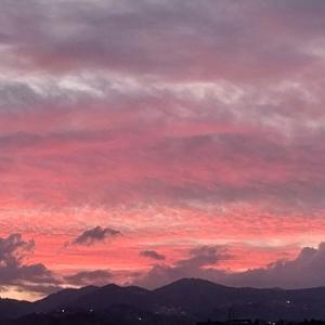 El podcast de Jazmin Firme