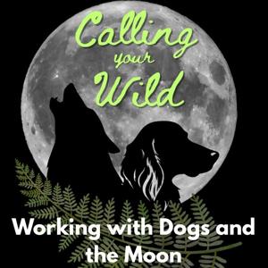 Calling Your Wild Astrology