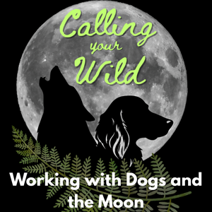Calling Your Wild Astrology