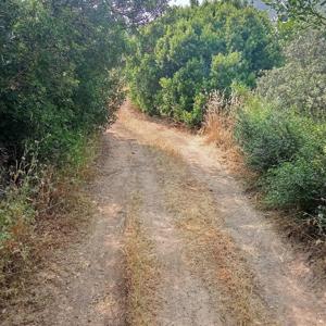 El podcast de XCAMINOSDELSIGLOX