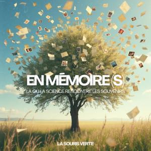 En mémoire(s)
